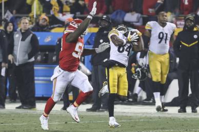 Antonio Brown Catch